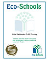 Bronze ECo Certificate, click to see larger version